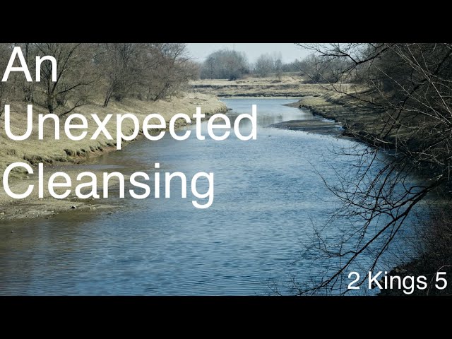 An unexpected cleansing