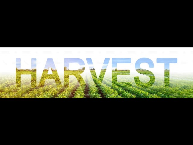 Harvest Service 2021